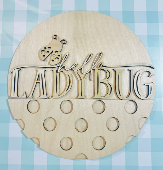 12" Hello LadyBug Door Hanger